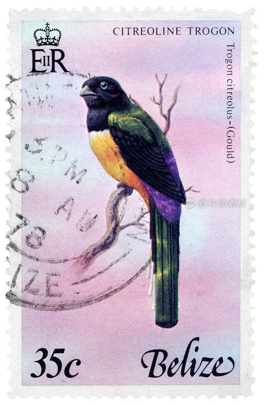 伯利兹邮票上的Citreoline Trogon Bird
